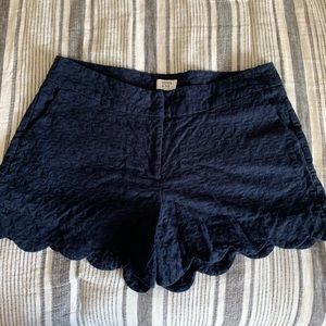 Crown & Ivy Navy Blue Scalloped Shorts Textured